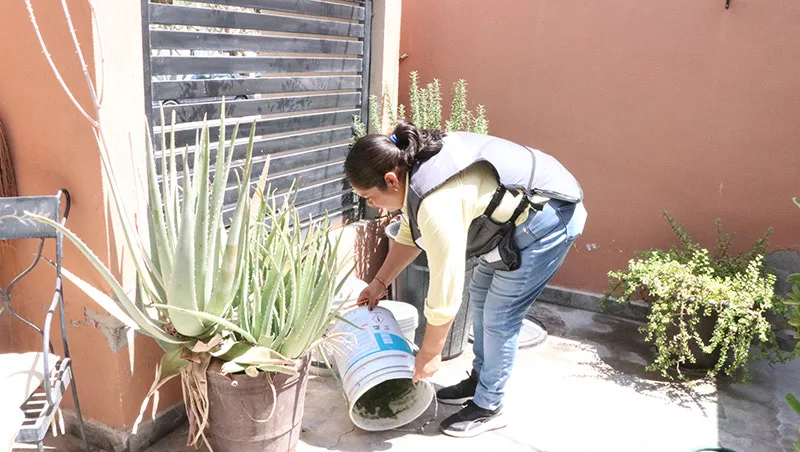Brigada de salud realiza labores de prevención del dengue en una vivienda de Baja California Sur