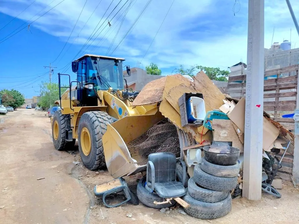 Public Services crew removing branches and junk in a Cabo San Lucas neighborhood