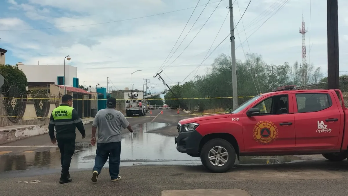 Civil Protection crews remove a fallen tree after rains in La Paz