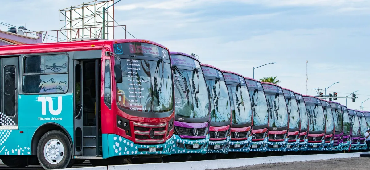A Tiburón Urbano bus running along an avenue in La Paz, Baja California Sur