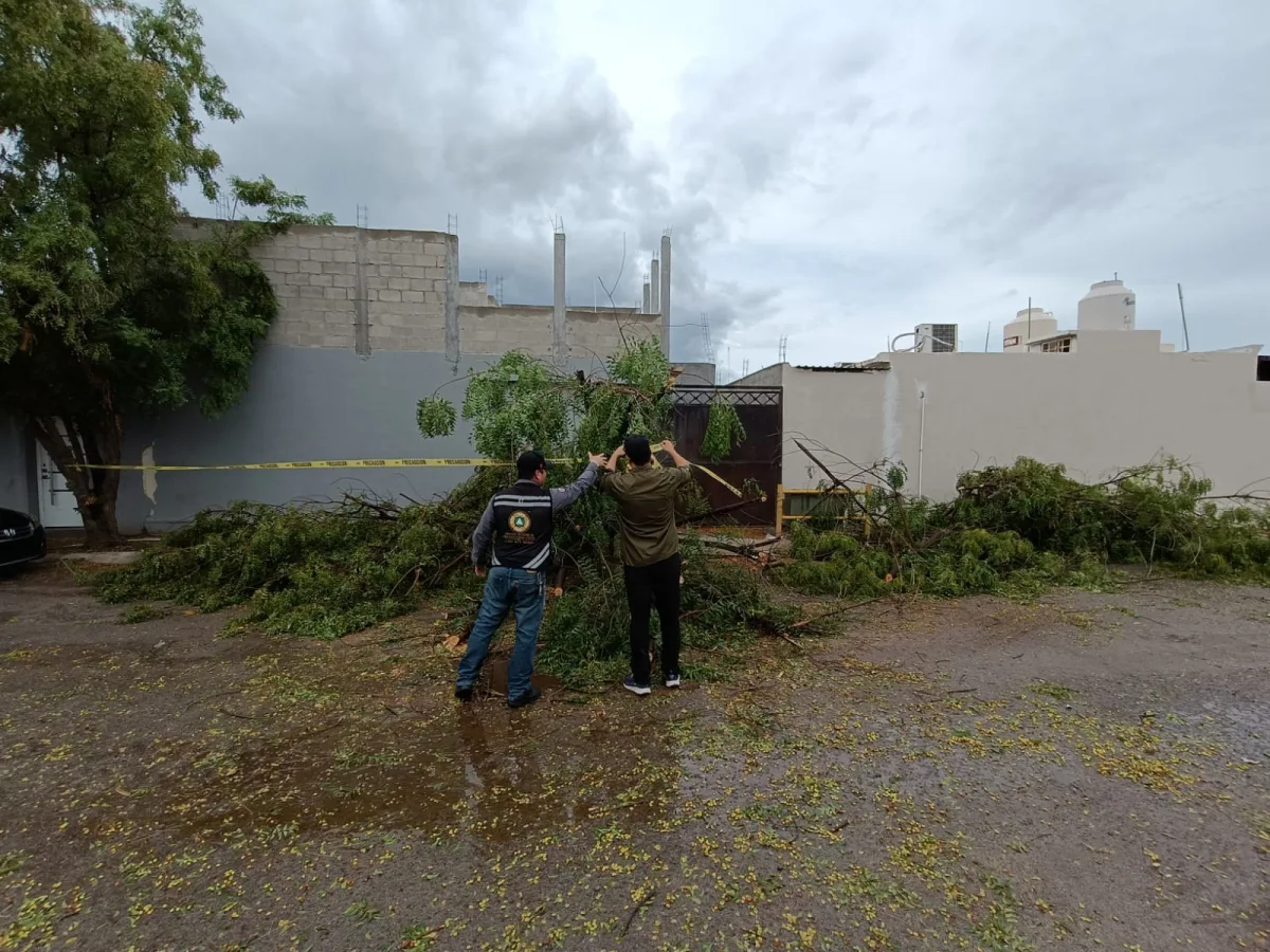 Personal de Protección Civil municipal de La Paz atiende cauces de arroyo durante la temporada de lluvias